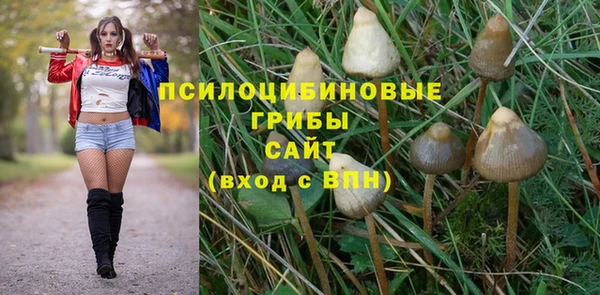 гашик Саяногорск