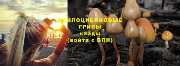 мяу мяу кристалл Богородицк