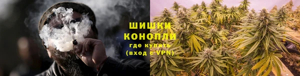 бошки Богданович